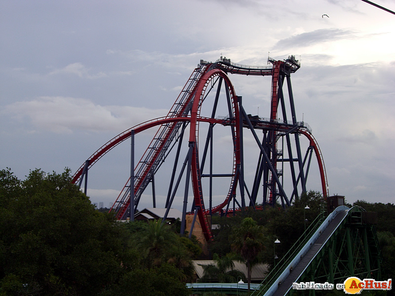 Sheikra 09