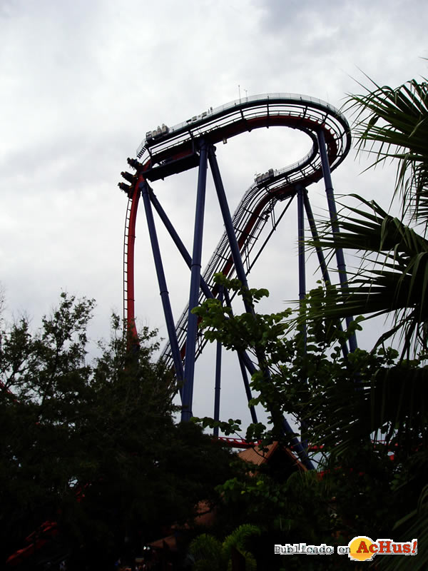 Sheikra 10