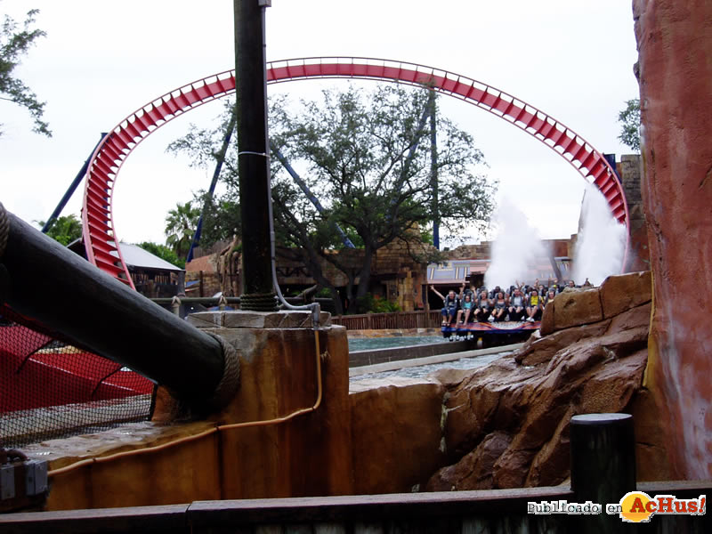 Sheikra 16