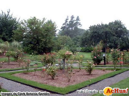 Clark Botanic Garden 06