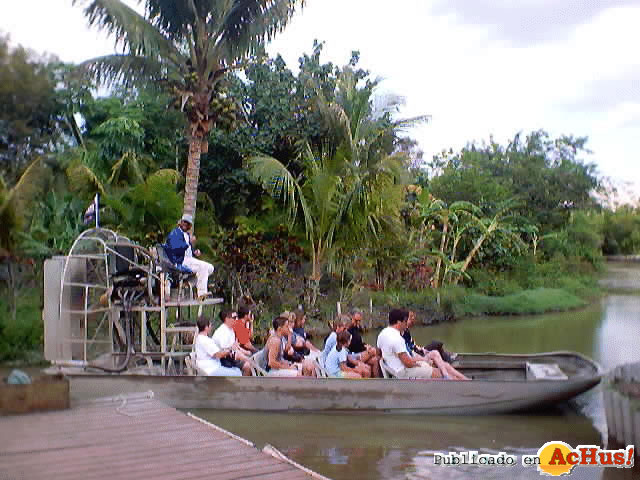 Alligator Farm 01