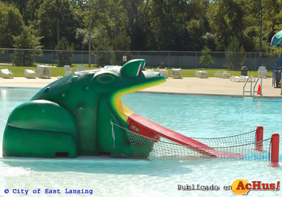 youth frog slide