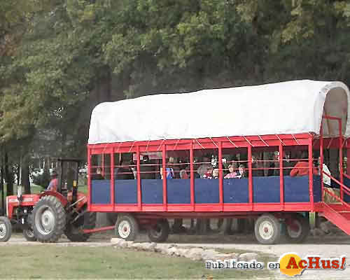 hayrides