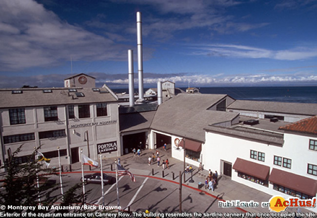 Monterey Bay Aquarium 04