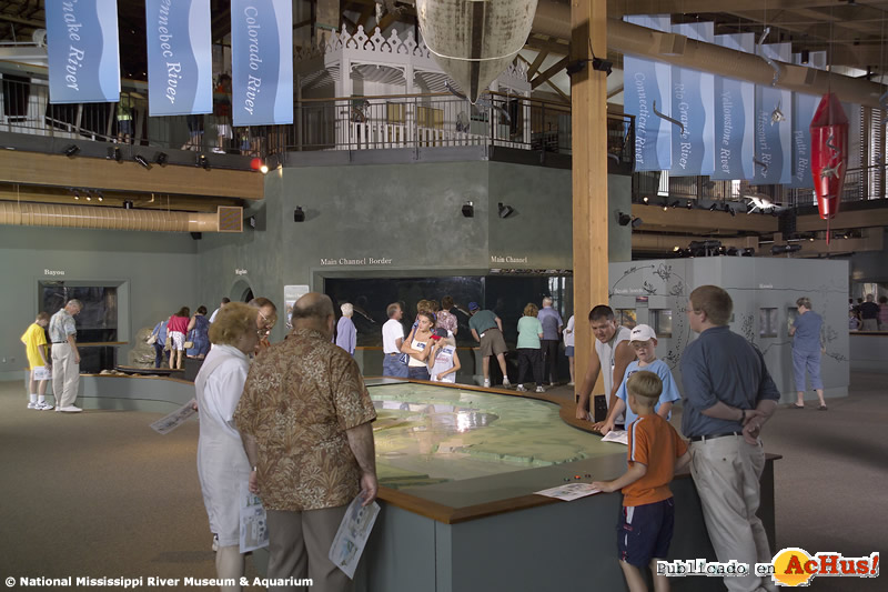 National Mississippi River Museum Aquarium 03