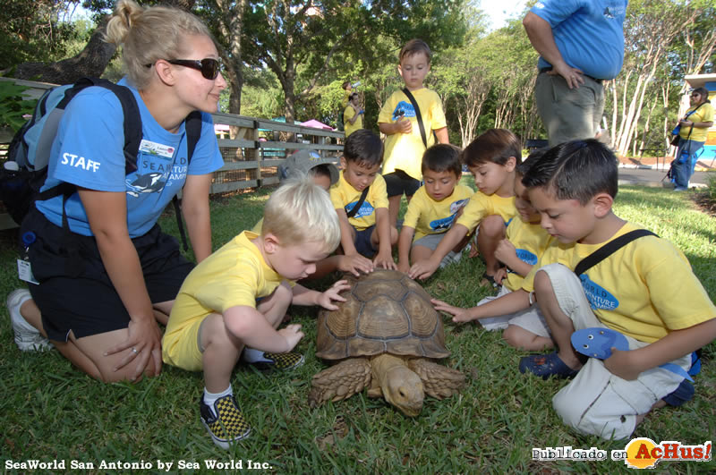 SeaWorld San Antonio 01