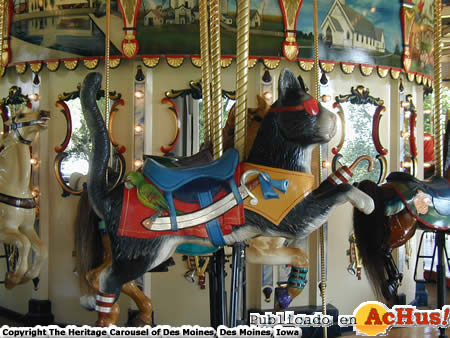 The Heritage Carousel 04