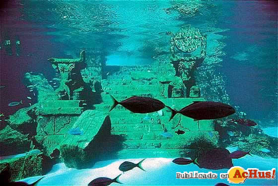 Imagen de atlantis resort Ruins Lagoon