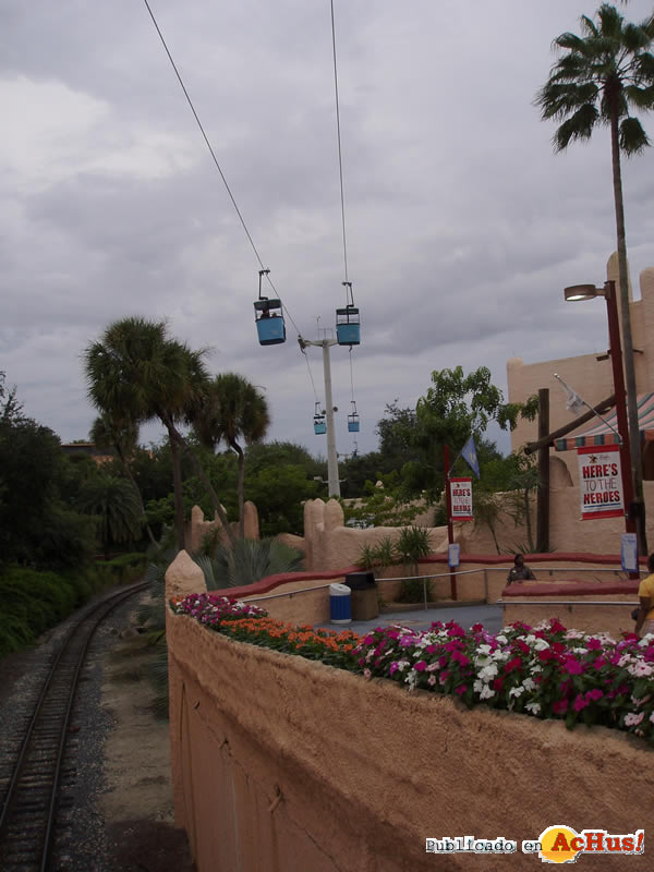 Busch Gardens Africa 07