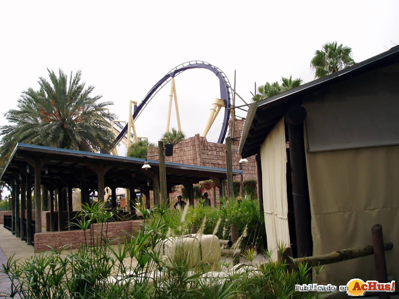 Montu 01