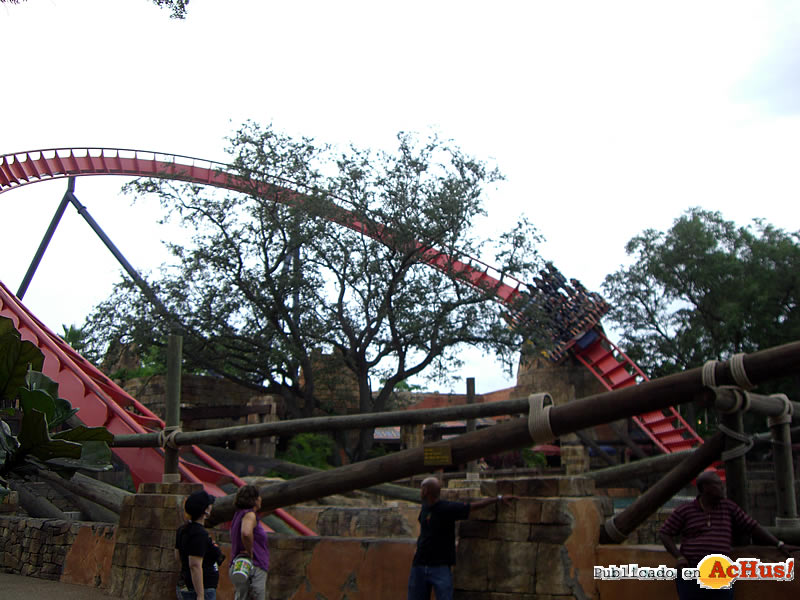 Sheikra 02