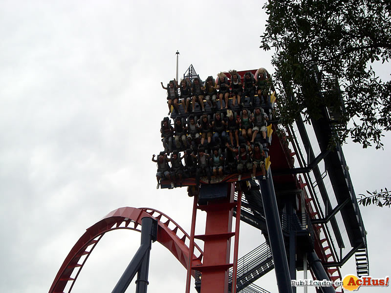 Sheikra 05