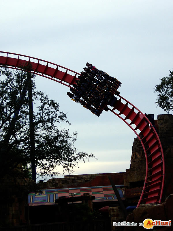 Sheikra 15