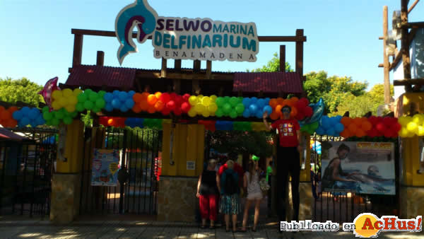 /public/fotos2/Selwo-Marina-Delfinarium-3.jpg